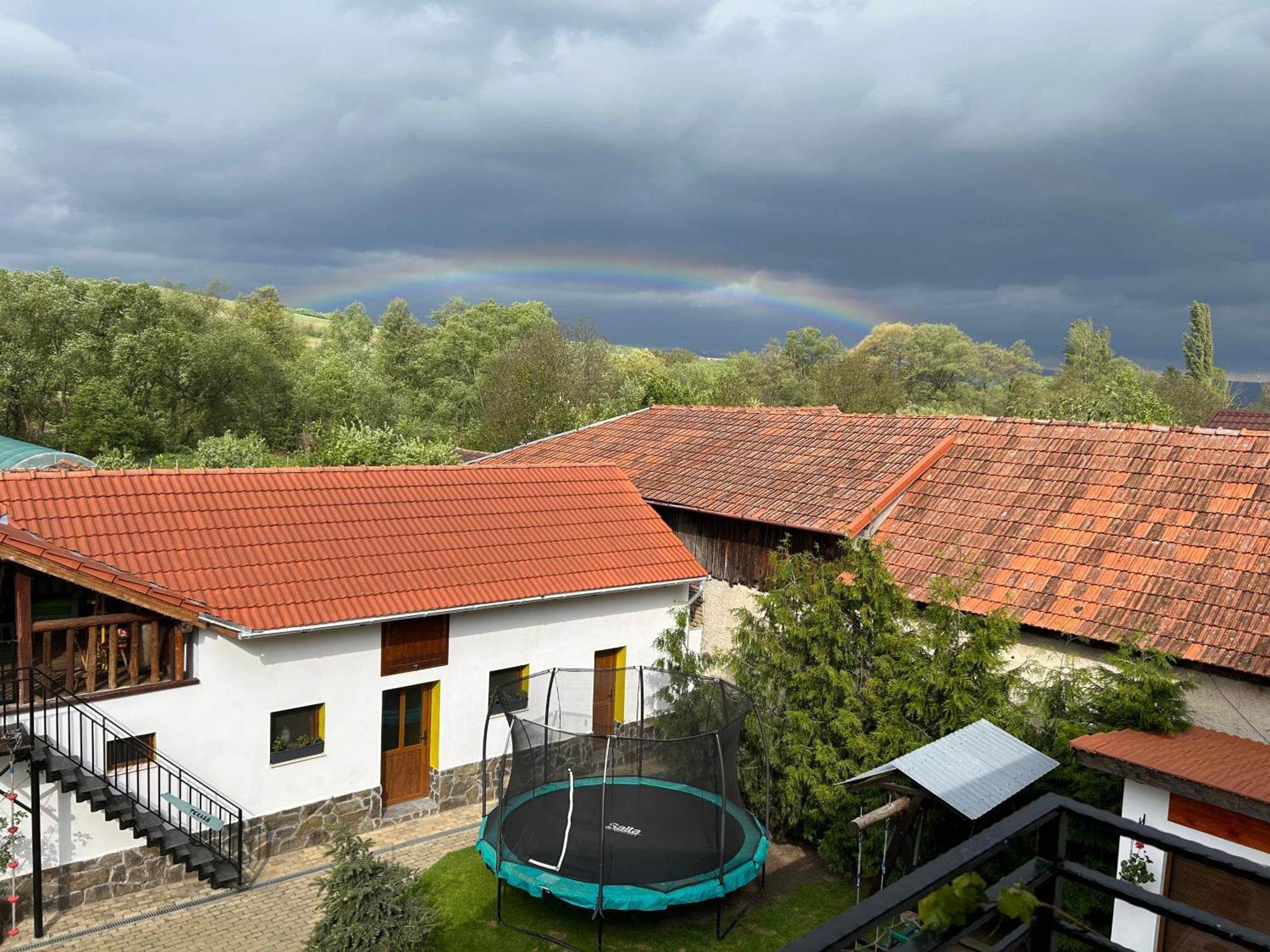 Casa "La Moara Din Gradina" Hotel Eftimie Murgu Exterior photo