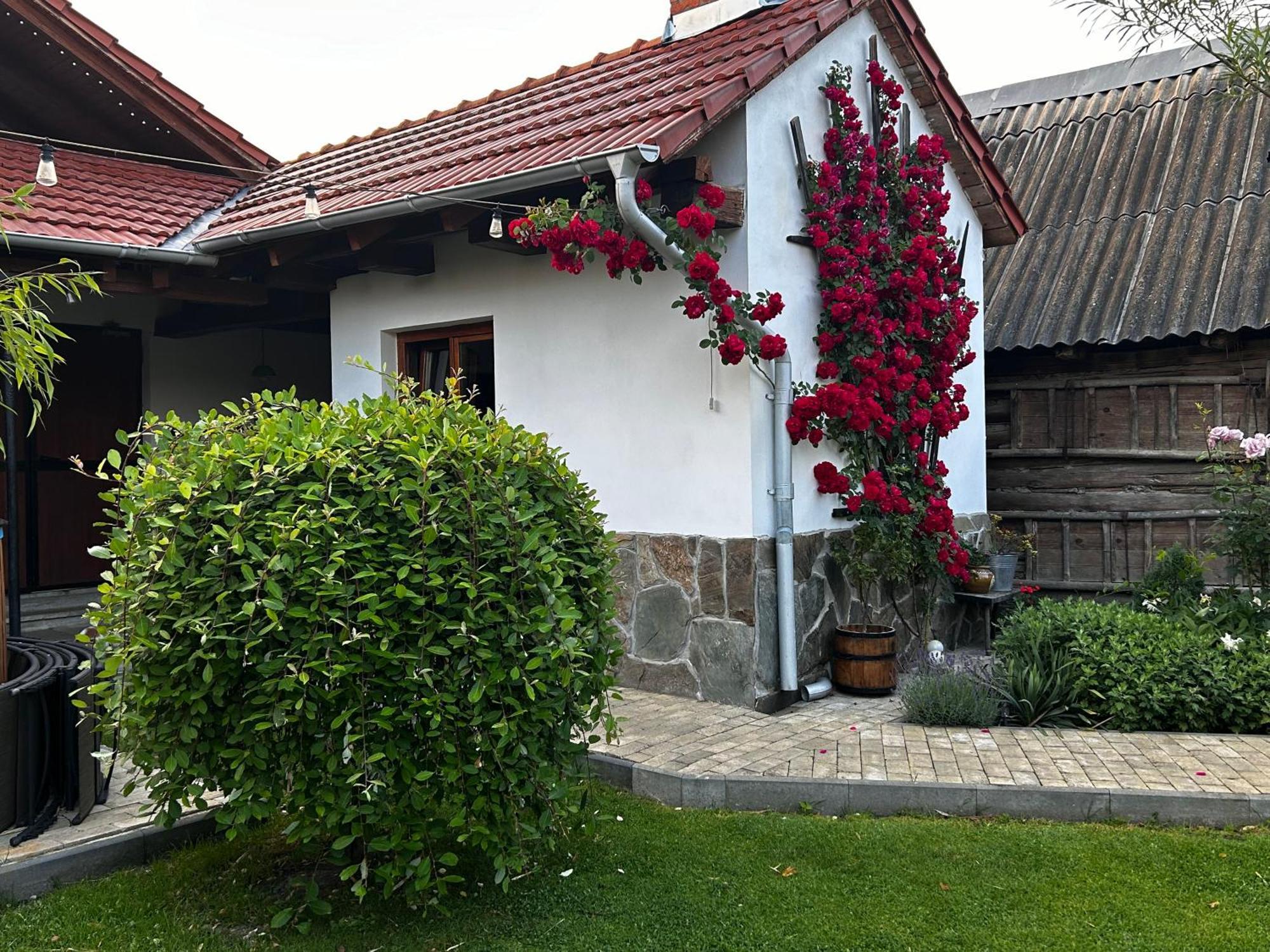 Casa "La Moara Din Gradina" Hotel Eftimie Murgu Exterior photo